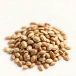 Pluto Pumpkin F1 Seeds (5)