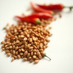 Hot Green Pepper Seeds