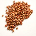 Imported Marmande Tomato Seeds (5 Seeds)
