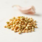Green Bell Pepper Seeds
