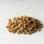 Imported Sweet Green Pepper Seeds (20 Seeds)