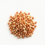 Imported Gold Tomato Seeds (5 Seeds)