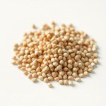 Leek Seeds for Home Gardening