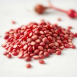 Red Radish 25g