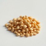 Iceberg Lettuce Seeds for Home Gardening