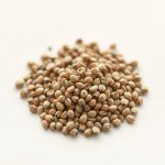 Sweet Marjoram Seeds