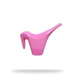 2L Plant Watering Can