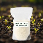 سماد NPK 19-19-19 TE متوازن 1000 جرام