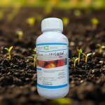 مبيد عناكب أكاري زد 5% EC 300 سم³