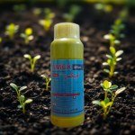 Amex 48% EC: Specialized Herbicide