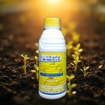 Eima Agro 35%: Concentrated Insecticide (1 Liter)