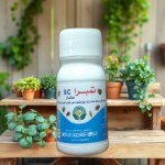 مبيد حشري Tempra SC 100ملم للقضاء على بق الفراش والحشرات المنزلية
