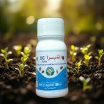 مبيد حشري Tempra SC 100ملم للقضاء على بق الفراش والحشرات المنزلية