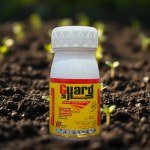 Agricultural Insecticide Guard 5% (100ml)