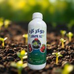 Joker KZ – Strong Fruit Growth and Comprehensive Development (1L)