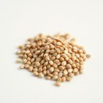 Rodenticide Baited Wheat Seeds