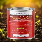 Rodent Killer Powder 80% DP (100g)