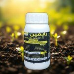 Raven - Advanced Systemic Protection