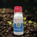 مبيد ستار الحشري SC للحشرات الزاحفة وبق الفراش (100 سم)