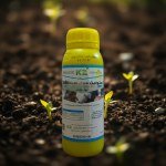 مبيد حشائش مركز 50% EC 500 ملل (Stolin)