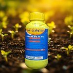 معقم تربة 50% EC (500 مللي)