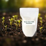 NPK Fertilizer with Triple Power and Live Stimulant (100 cm)