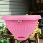 Half-Circle Wall Planter 30 cm (Rose)