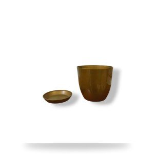 Decorative Planter 17 cm with Tray (Golden)