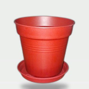 Plastic Planter 11 cm with Self-Draining Saucer (Tobee)