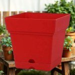 Square Planter 18 cm - Modern Shape and Ideal Space for Gardening (Red)