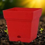 Square Planter 18 cm - Modern Shape and Ideal Space for Gardening (Red)