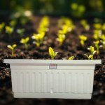 White Self-Watering Planter 40x20cm