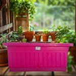 Smart Garden Planter 40x20cm - Fuchsia