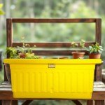 Canary Yellow Smart Garden 40x20cm
