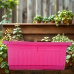 Pink Care Garden 40x20cm
