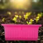Pink Care Garden 40x20cm