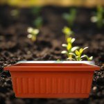 Rectangular Planter Classic 40x20cm