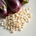 White Eggplant Bride Seeds