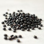 Black Baladi Eggplant Seeds