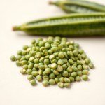بذور البامية الخضراء (Green Okra Seeds)