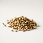 بذور البردقوش (Marjoram Seeds)