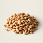 Round Watermelon Seeds 20 Seeds