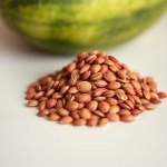 Austrian Watermelon Seeds 10 Seeds