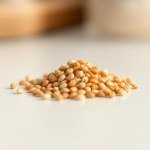 بذور الجزر الأحمر (Red Carrot Seeds)