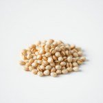 بذور الخروع (Castor Bean Seeds) 50 جرام