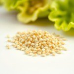 Red American Lettuce Seeds 10 Seeds