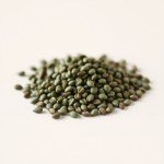 بذور السلق (Chard Seeds)