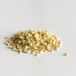 بذور حب الرشاد – إستنبات (Garden Cress Sprouting Seeds)