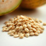 بذور شمام مصري (Cucumis melo) الشمام المصري