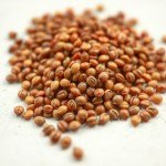 Local Tomato Seeds